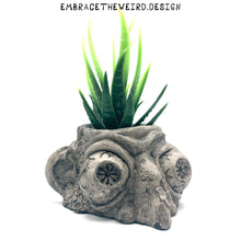 Load image into Gallery viewer, Two-Face (Handmade Succulent Planter)