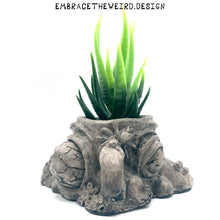 Load image into Gallery viewer, Two-Face (Handmade Succulent Planter)