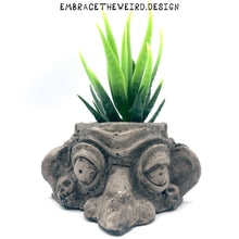 Load image into Gallery viewer, Two-Face (Handmade Succulent Planter)