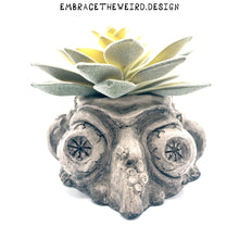Load image into Gallery viewer, Two-Face (Handmade Succulent Planter)