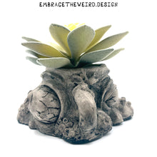Load image into Gallery viewer, Two-Face (Handmade Succulent Planter)