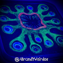 Load image into Gallery viewer, SHOGGOTH (GLOW IN THE DARK)(Handmade Beverage Coaster)