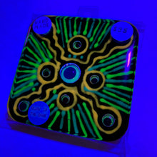 Load image into Gallery viewer, GOOGLIE EYE"S Series #01 (GLOW IN THE DARK)(Handmade Beverage Coaster)
