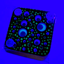 Load image into Gallery viewer, GOOGLIE EYE"S Series #01 (GLOW IN THE DARK)(Handmade Beverage Coaster)