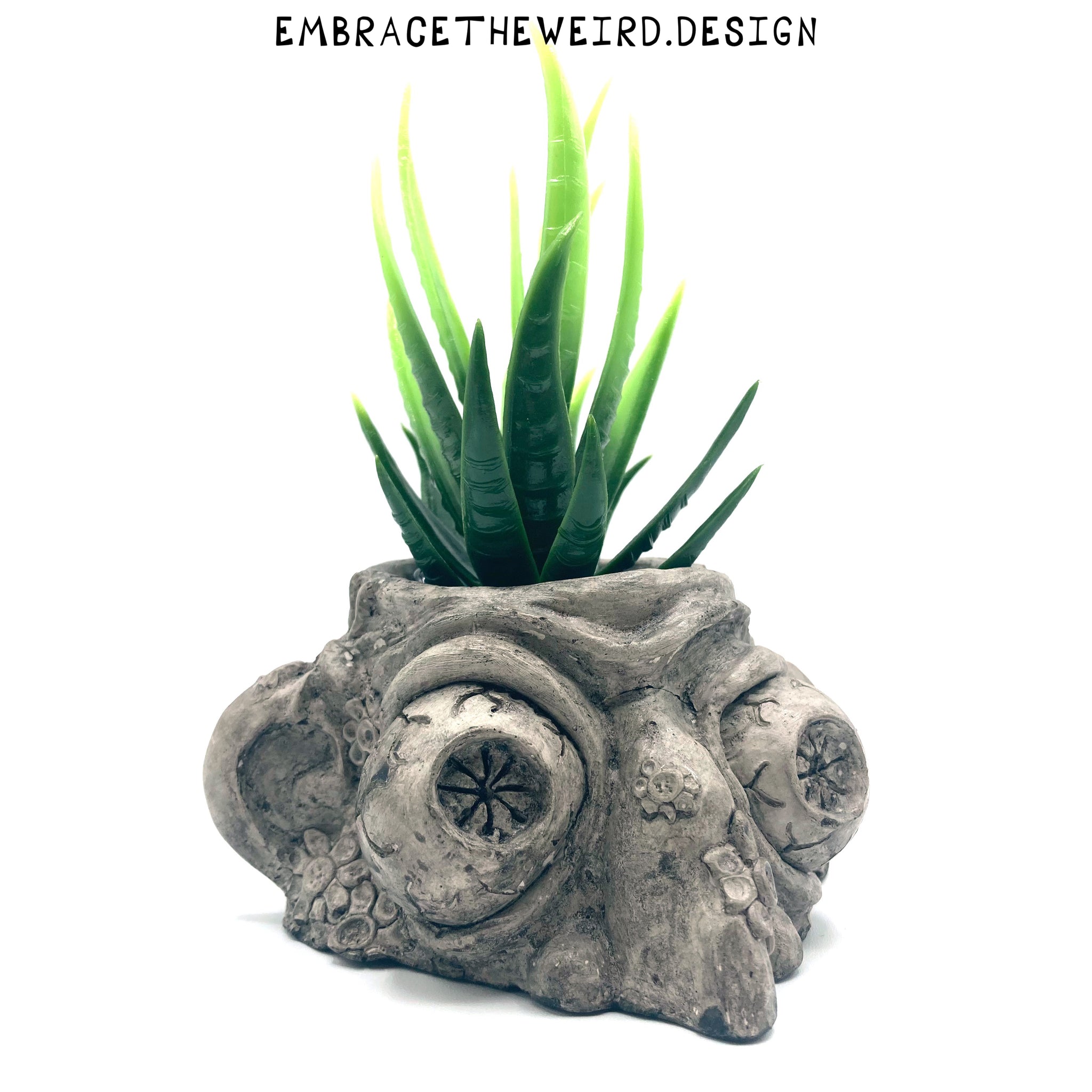 handmade succulent pots Two-Face (Handmade Succulent Planter) – Embrace The Weird