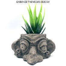 Load image into Gallery viewer, Two-Face (Handmade Succulent Planter)
