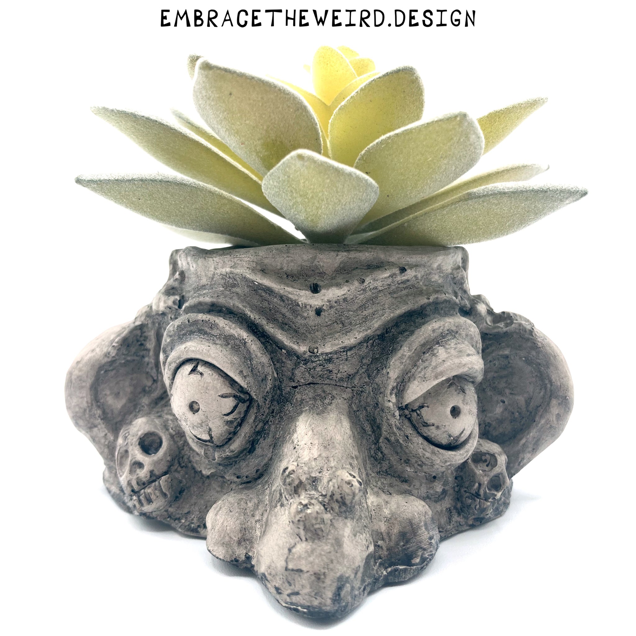 weird plant pots Two-Face (Handmade Succulent Planter) – Embrace The Weird