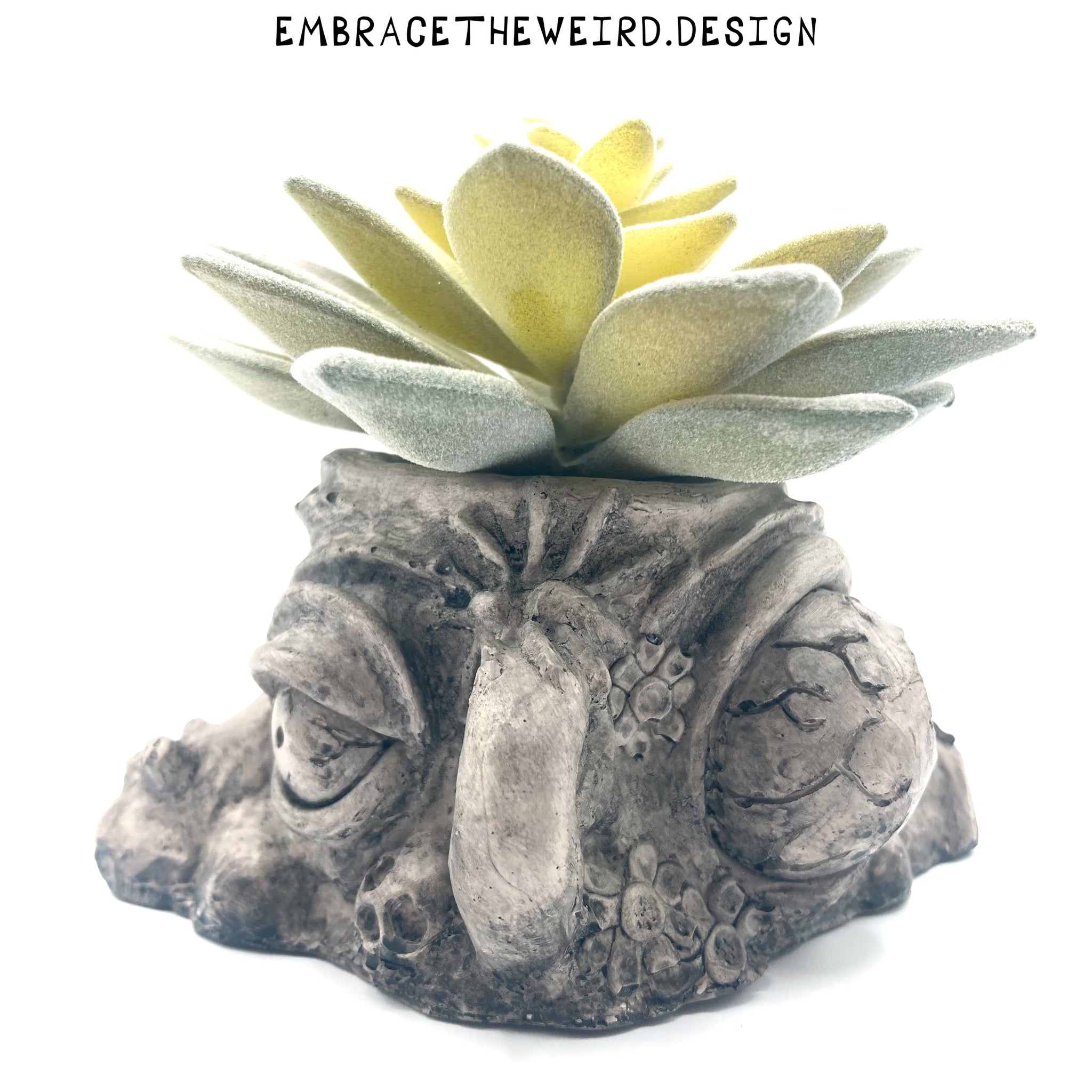 gray succulent planter Two-Face (Handmade Succulent Planter) – Embrace The Weird